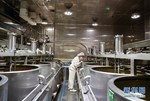 探訪進(jìn)博會(huì)參展商 韓國綠色食品企業(yè)圃美多的豆腐工廠